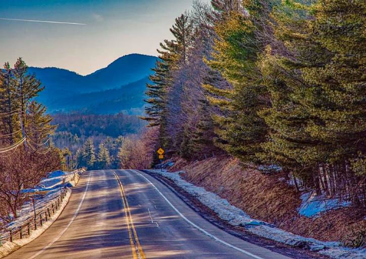 Road in the mountains lined with evergreen trees 