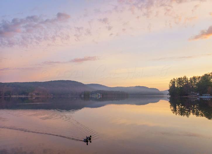 Pastel sunrise over a lake with two ducks