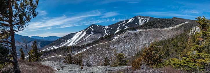 whiteface from bear den