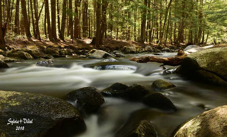 glenn creek in thurman ny