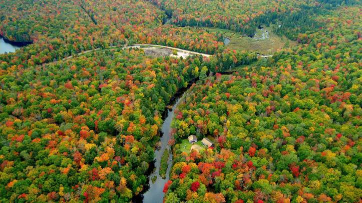 Aerial view of leaves beginning to change color