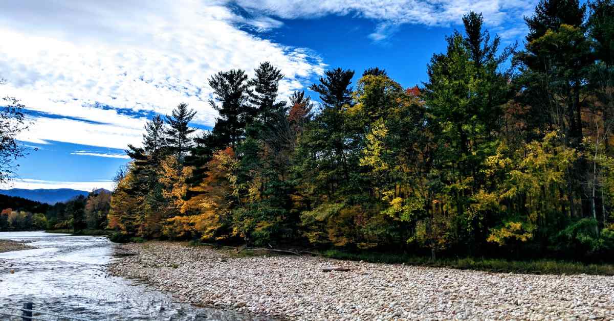 fall foliage along the ausable river