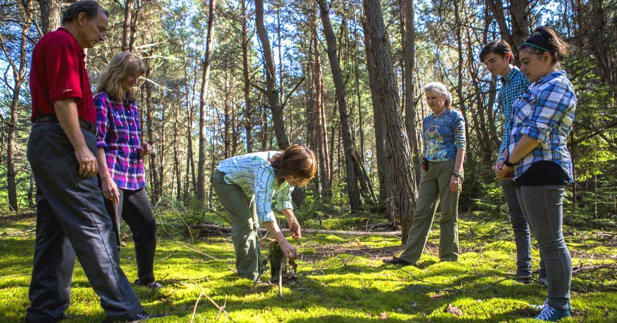 group of people forest bathing