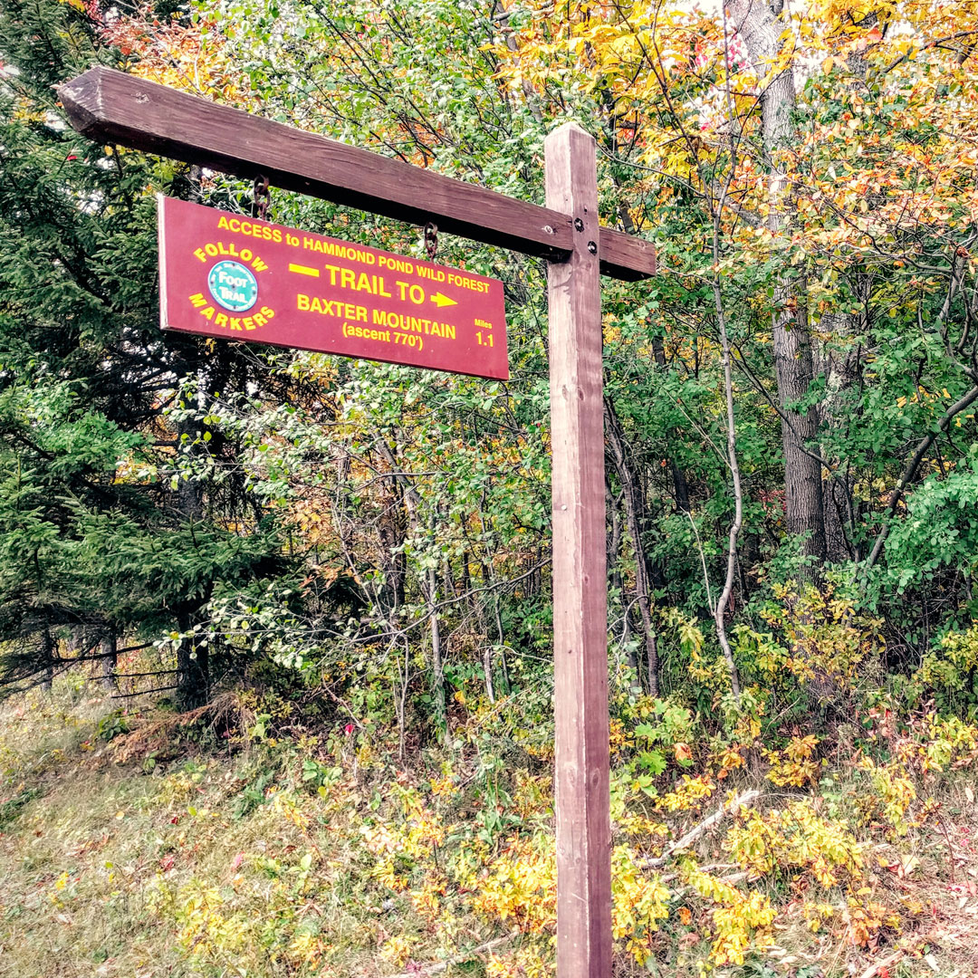 Adirondack easy hikes Clearance