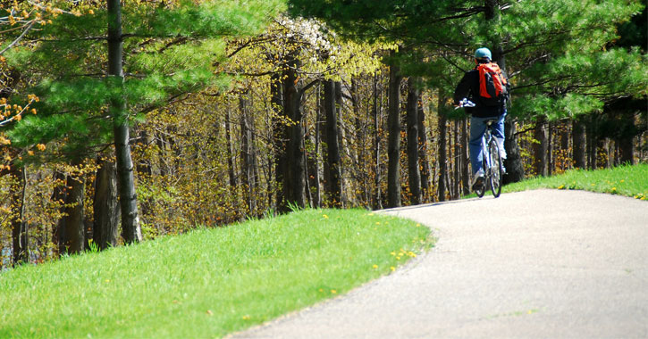 the back of a person riding a bike on a path into the woods