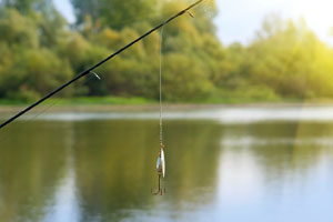 chapel pond fishing