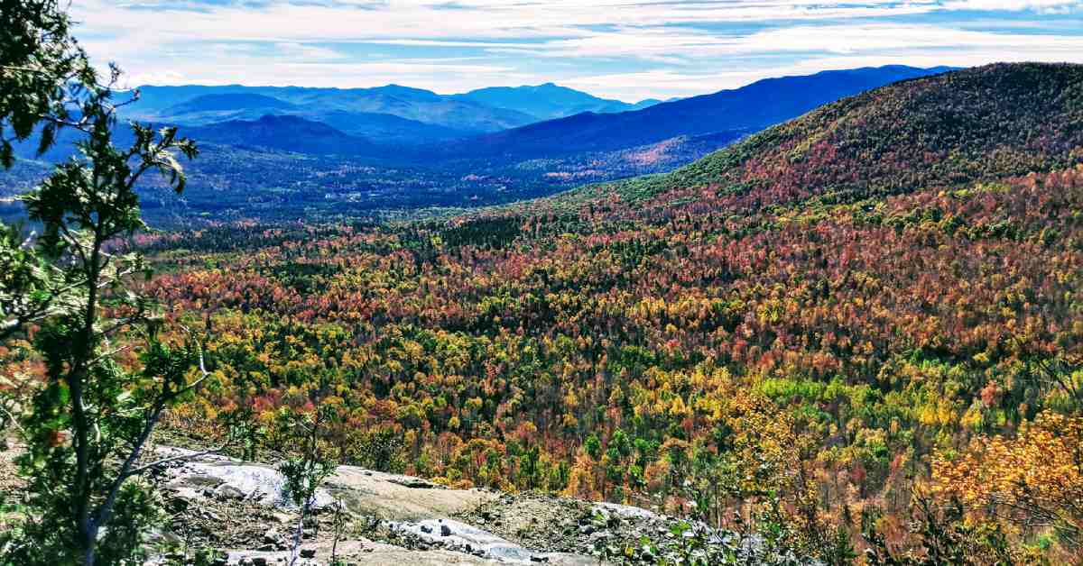 view of adirondack mountains from cobble lookout