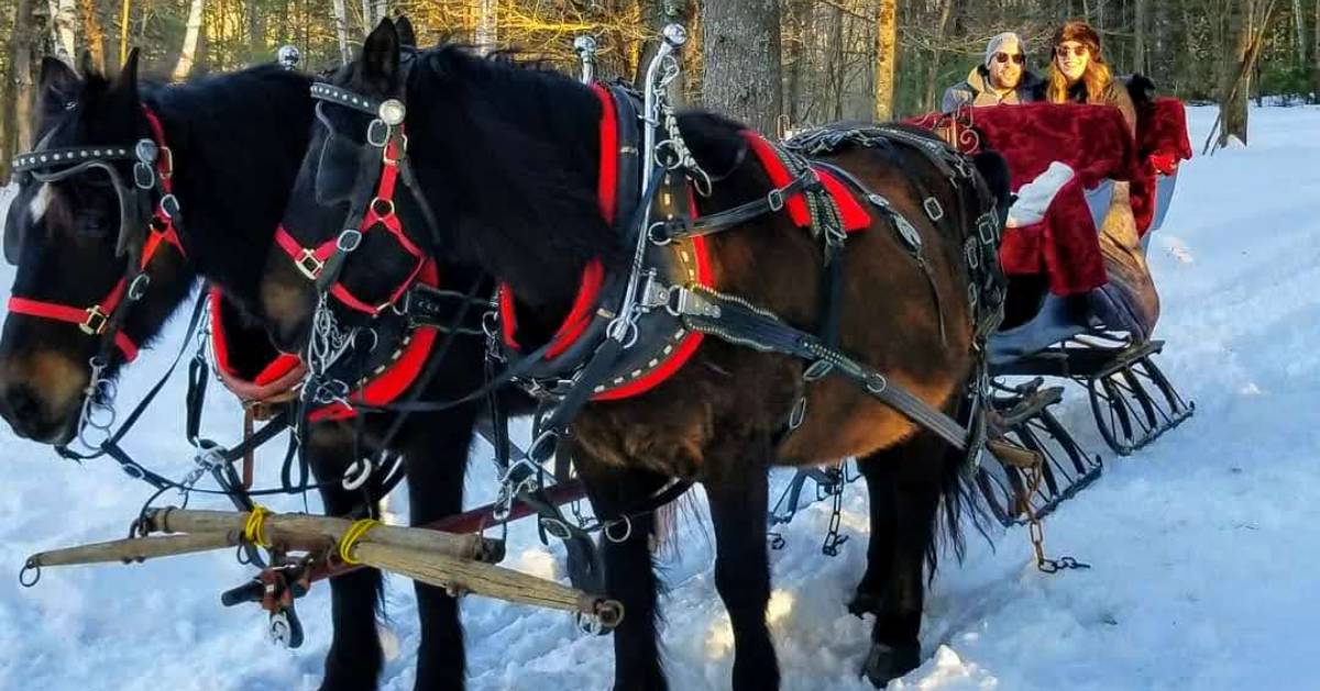 a couple on a sleigh ride