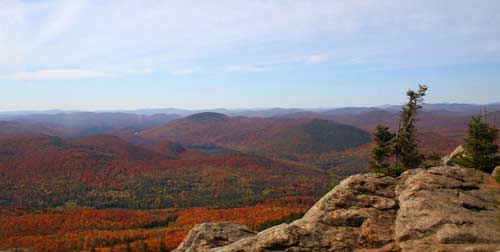 Crane Mountain: View From The Top