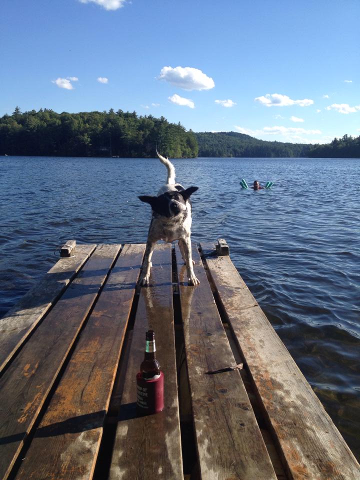 Adirondack Dog Of The Week - Each Week We Choose A Winner From Your ...