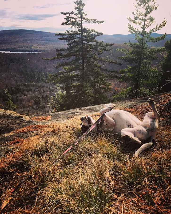 chevy at the top of black bear mountain
