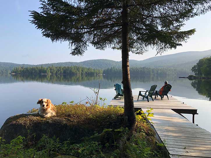collie at blue mountain lake