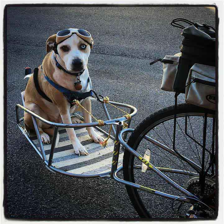 rider out for a ride in lake george