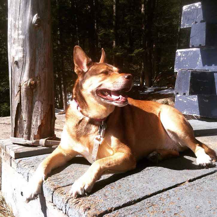 shiloh on top of thomas mountain