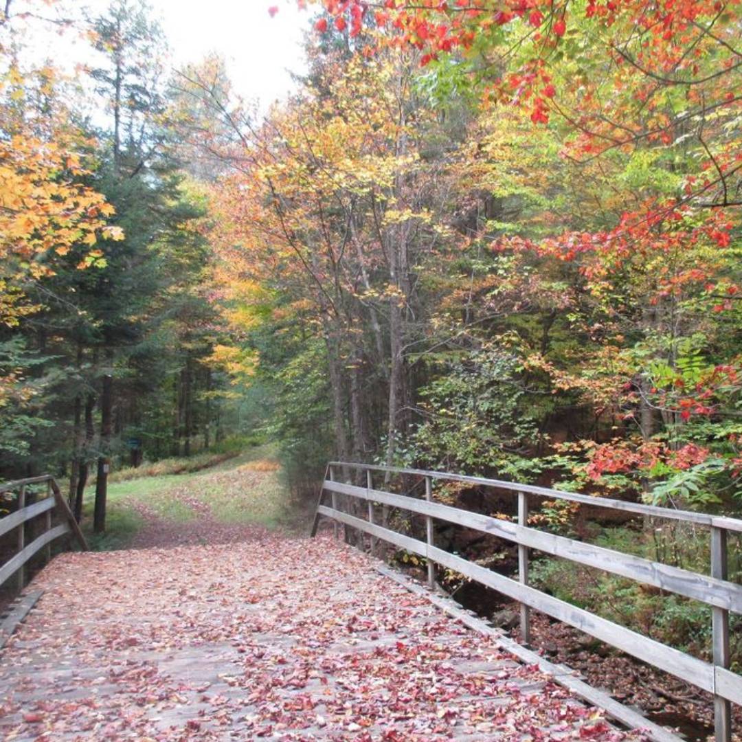 Discover Hidden Fall Gems & Nearby Lodging Options in the Adirondacks