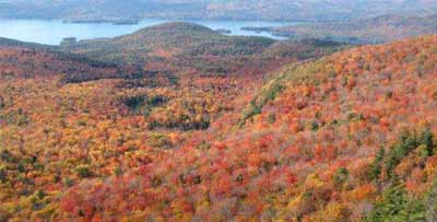 fall foliage from Sleeping Beauty Mountain
