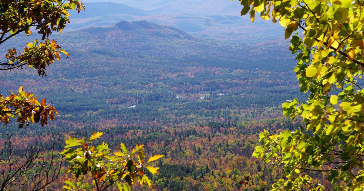 view of fall foliage from summit