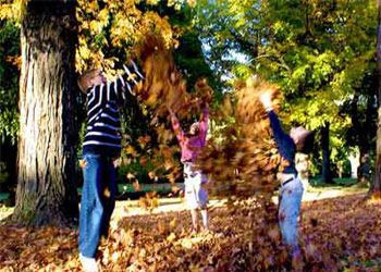 kids throwing leaves