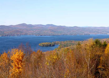 fall leaves on trees
