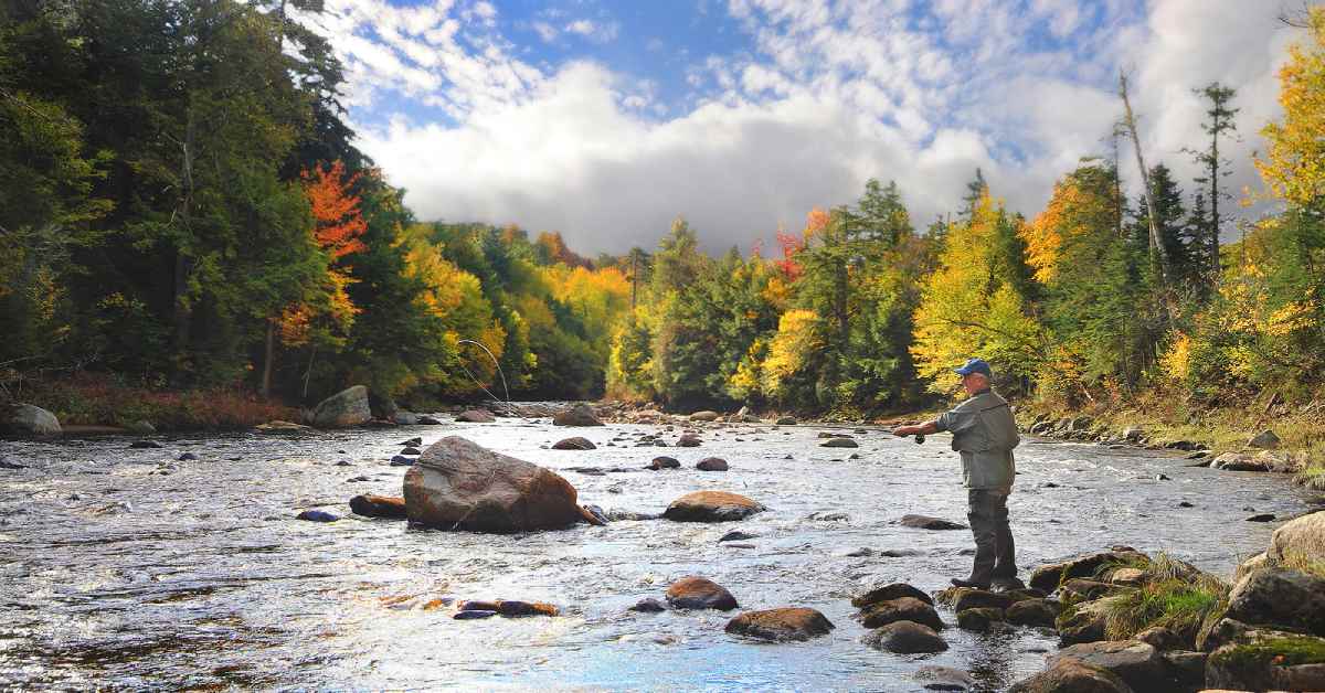 a man fishing from the bank of a river