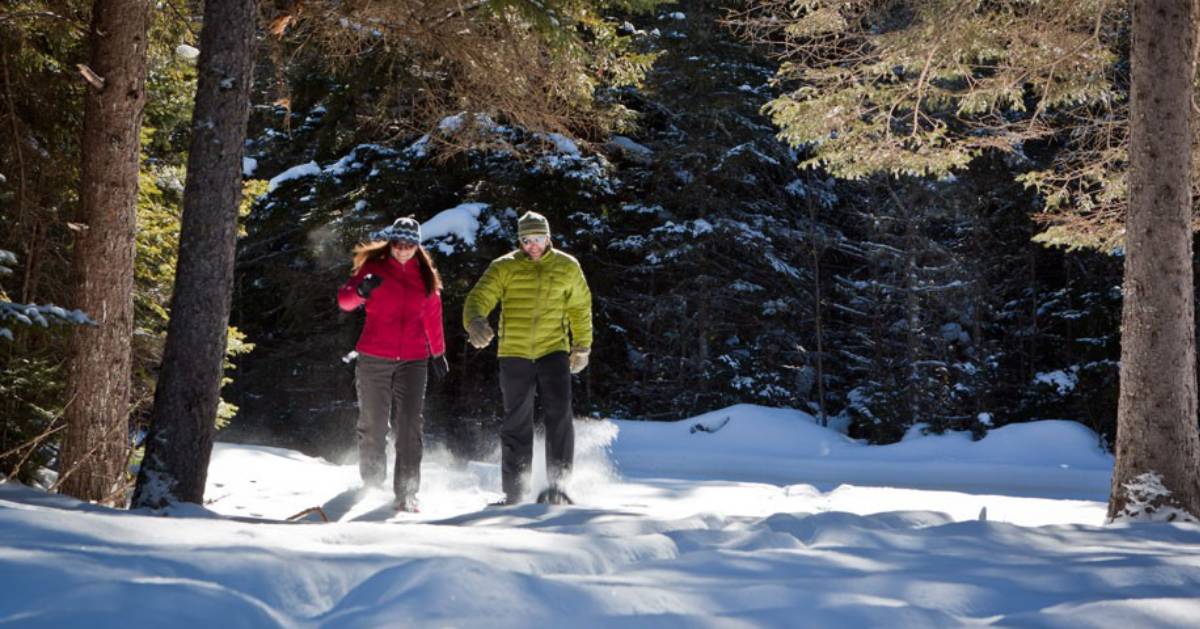 two people snowshoeing