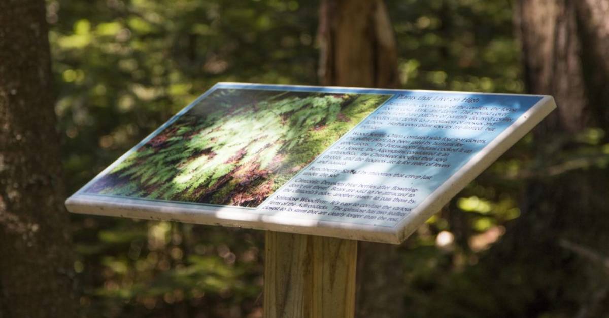 an interpretive sign in the woods