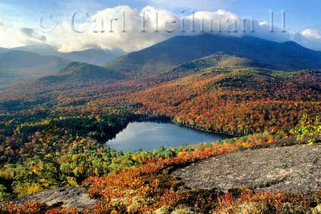 foliage and lake