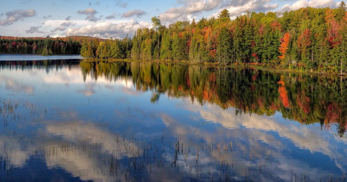lake in the fall
