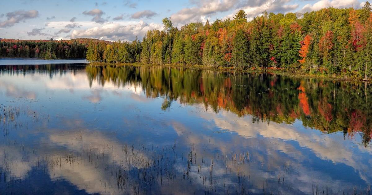 lake in the fall