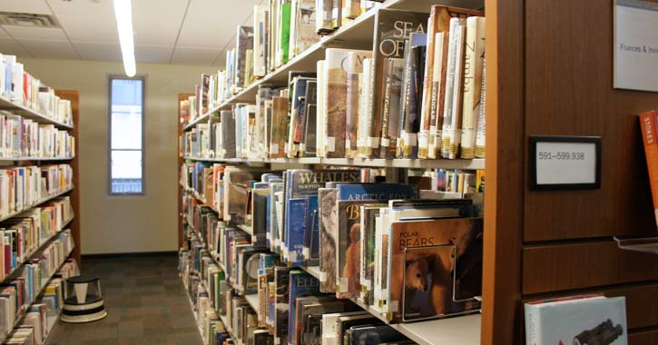 library shelves with books