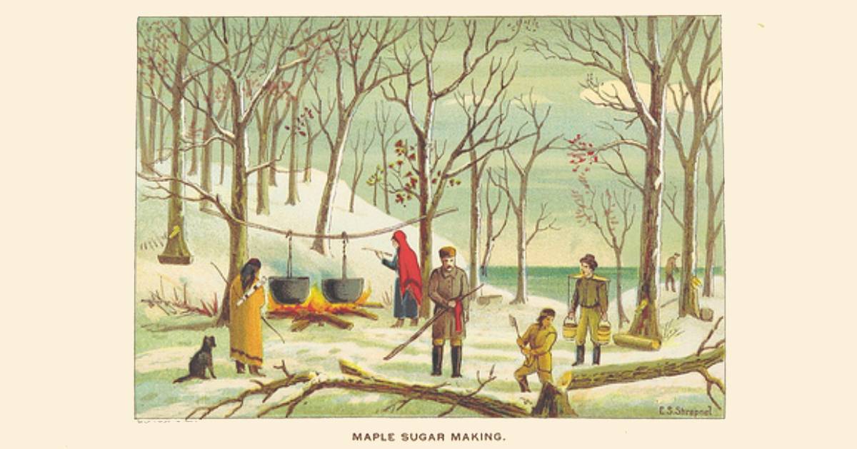 historical drawing of maple sugar making