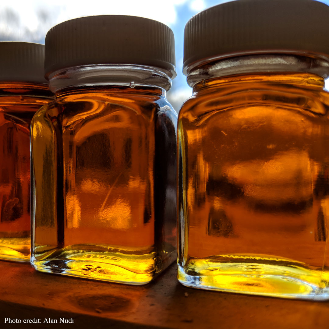 Adirondack Maple Sugar Houses Tours, History & Events