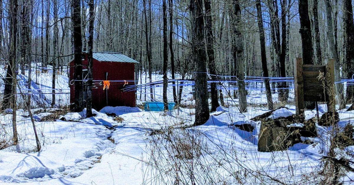 a maple sugaring operation outdoors