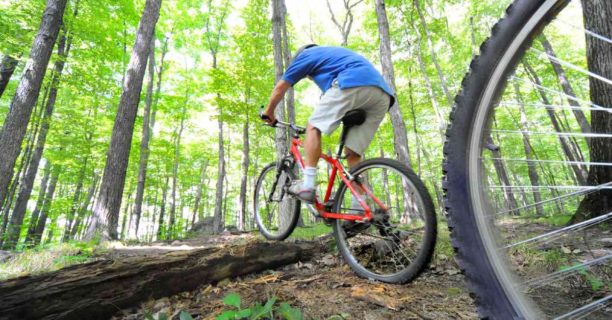 mountain bikers riding over a fallen log in the woods