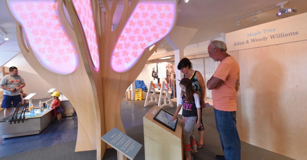 an interactive tree exhibit at the north country childrens museum