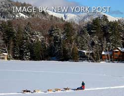 Dogsledding In The Adirondacks