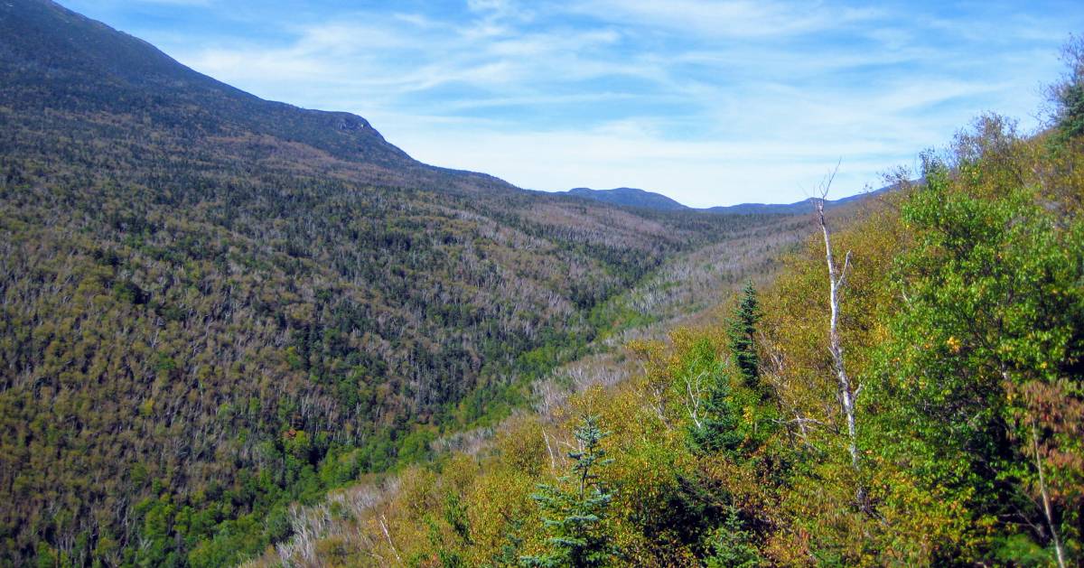 view from mountain