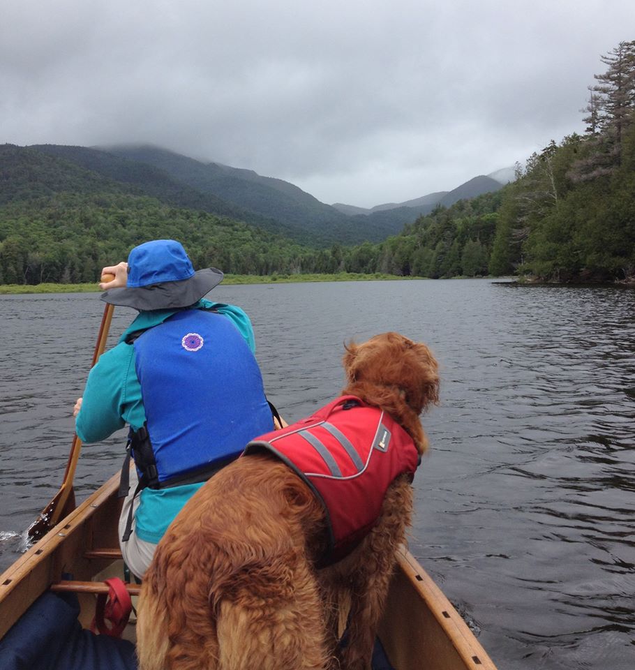 dog in canoe