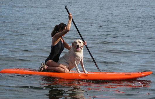 adirondack paddling