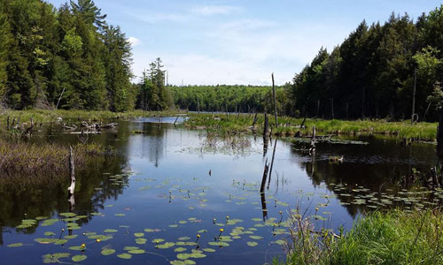 Hiking Challenges The Chester Challenge