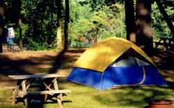 Tent In the Adirondacks