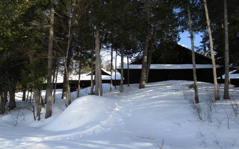 snowy ground and buildings in the background