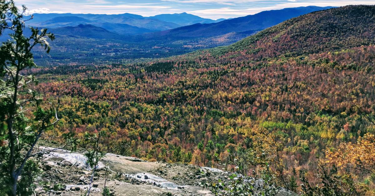 view from summit of fall foliage