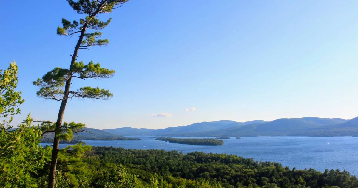 view of lake and trees