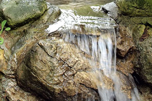 johns brook waterfall