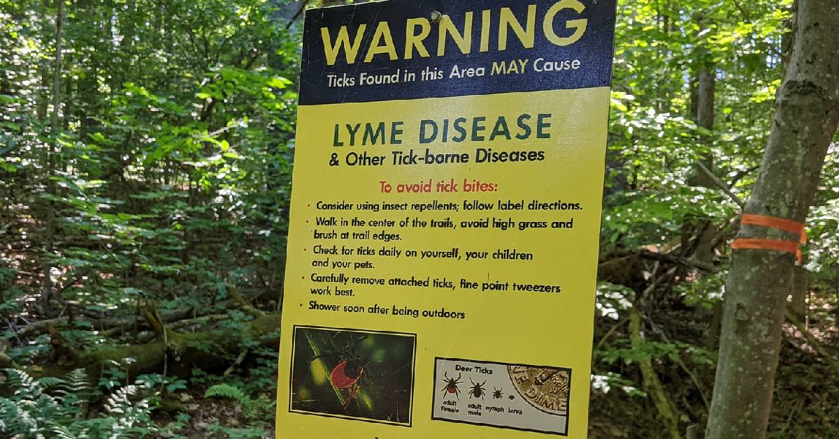 sign about ticks on hiking trail