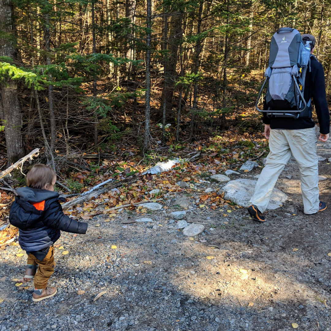 find-kid-friendly-hikes-in-the-adirondacks-for-all-ages