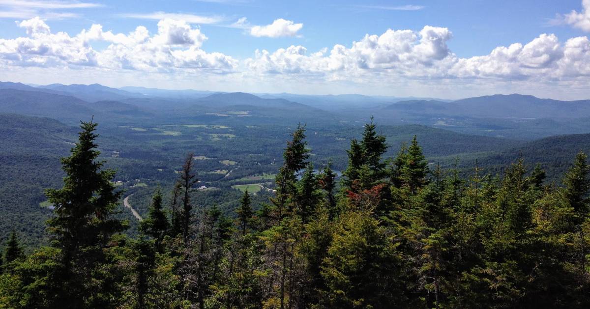 view from summit of trees and sky