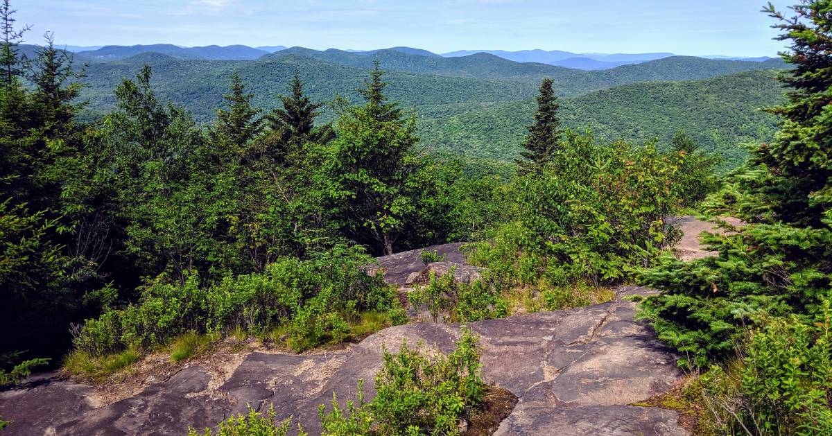 view of trees and mountains from summit