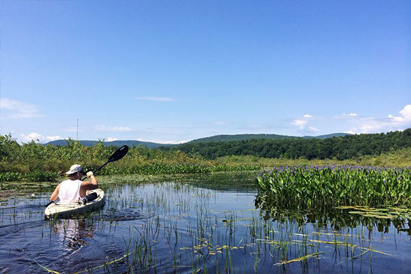 kayaking among plants